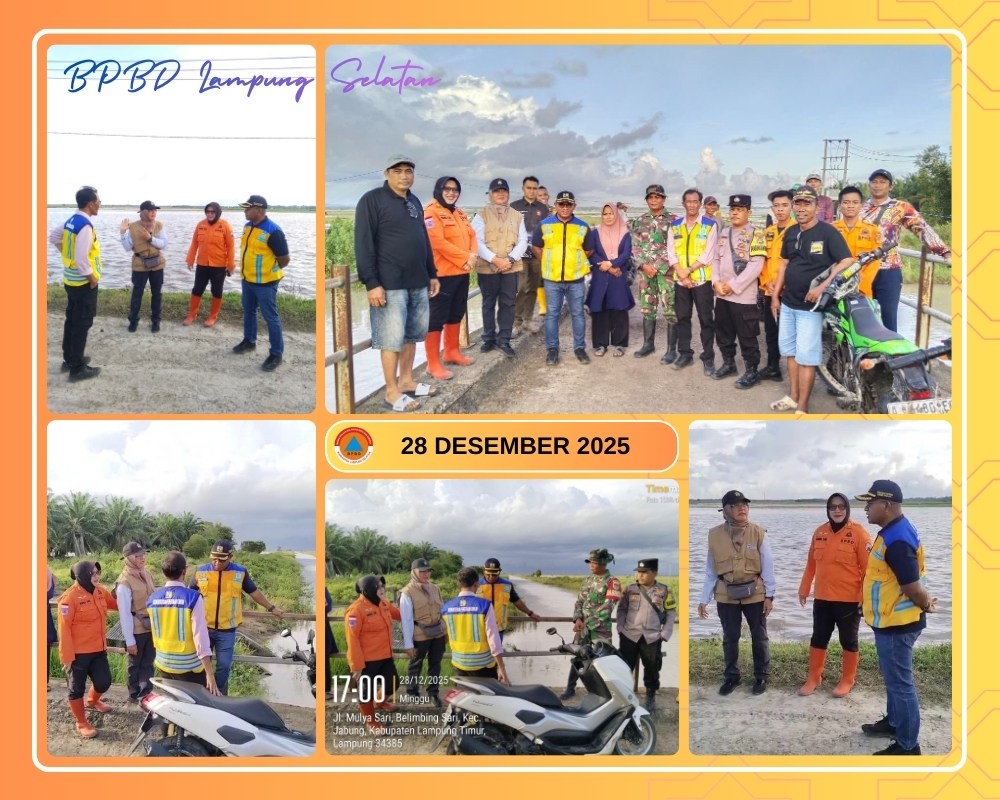 Plt. Kabid BPBD Lamsel Cek Langsung Lokasi Banjir di Palas